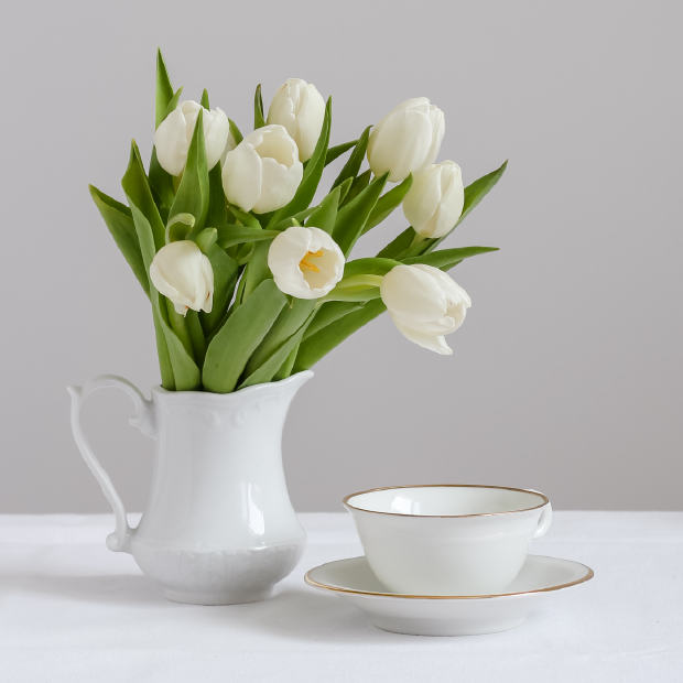 White tulips and a teacup