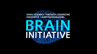 NIH Steps Up Funding for BRAIN Initiative