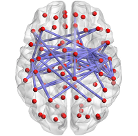 Brain Imaging Studies Show Links Between Immune System and Emotional Regulation